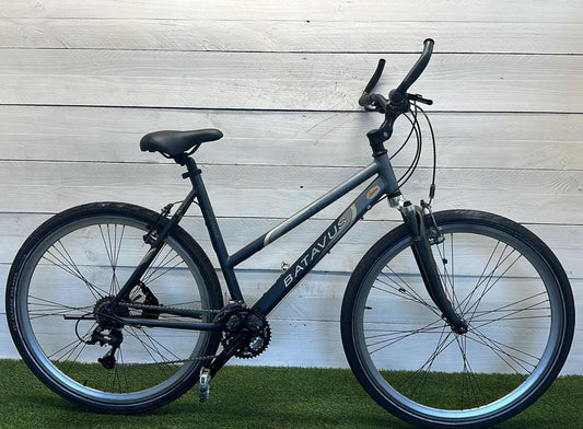 Batavus AS 300