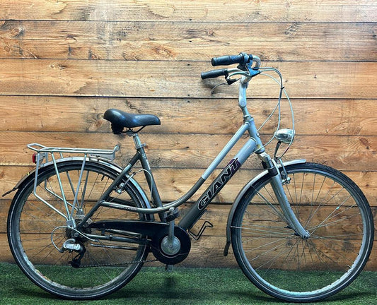 Giant Custom 8v 28inch 48cm