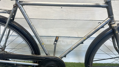 Gazelle Solide